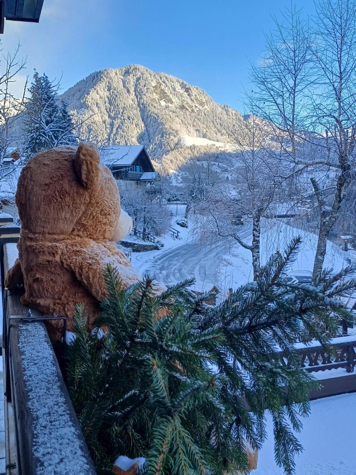 Chalet Appart'Hotel L'Eau Vive Saint-Nicolas-la-Chapelle  Eksteriør bilde